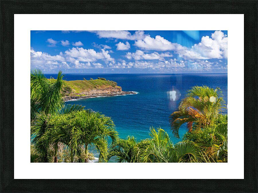 Mokolea point and Kahili beach framed by palm trees Kauai  Framed Print Print