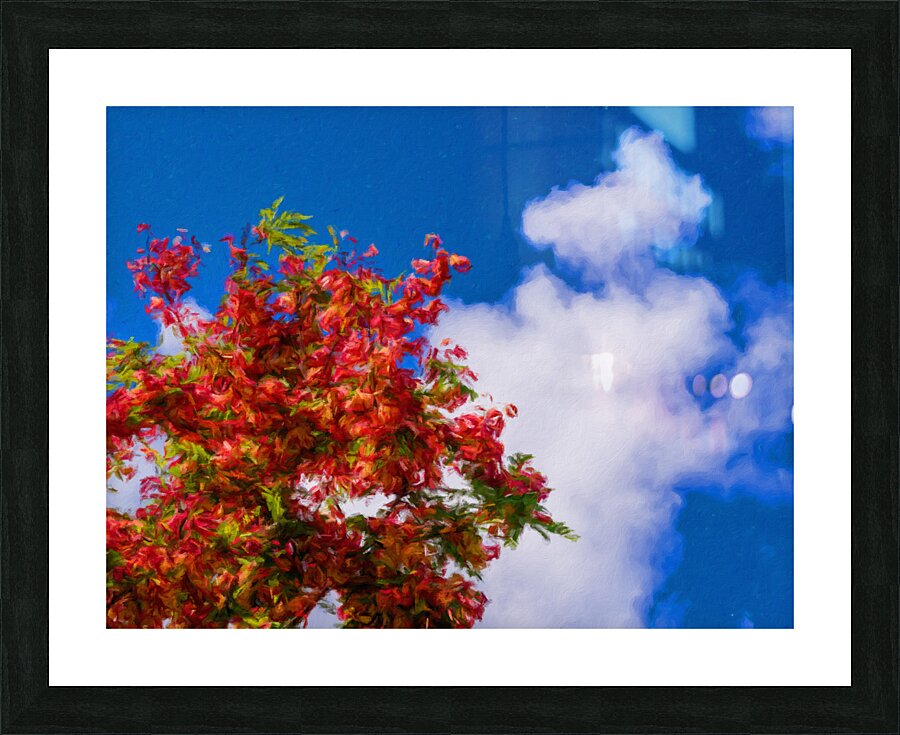 Impressionistic painting of rainbow shower tree blossoms  Framed Print Print