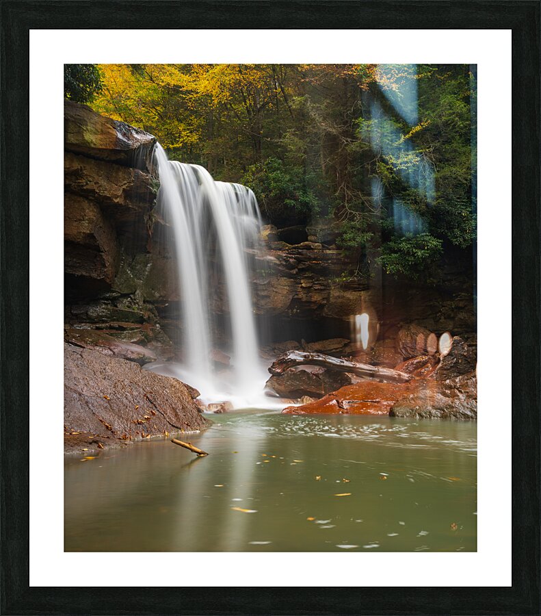 Douglas Falls near Blackwater Canyon trail near Thomas WV  Framed Print Print