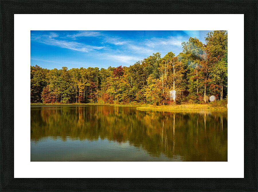 Fall leaves surround reservoir in Coopers Rock State Forest in W  Framed Print Print