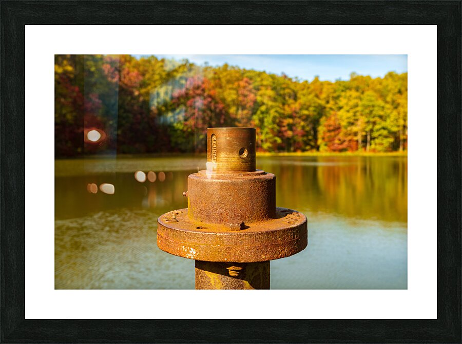 Detail of rusty metal pipe with fall leaves in Coopers Rock in W  Framed Print Print