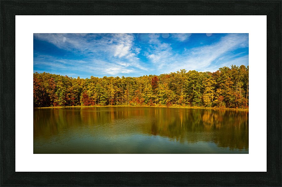 Fall leaves surround reservoir in Coopers Rock State Forest in W  Framed Print Print