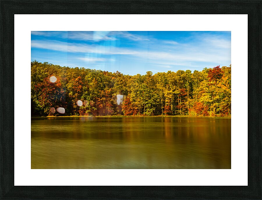 Fall leaves surround reservoir in Coopers Rock State Forest in W  Impression encadrée