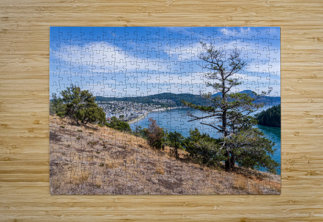 View from the Washington Park overlook over the town of Anacorte Steve Heap Puzzle printing