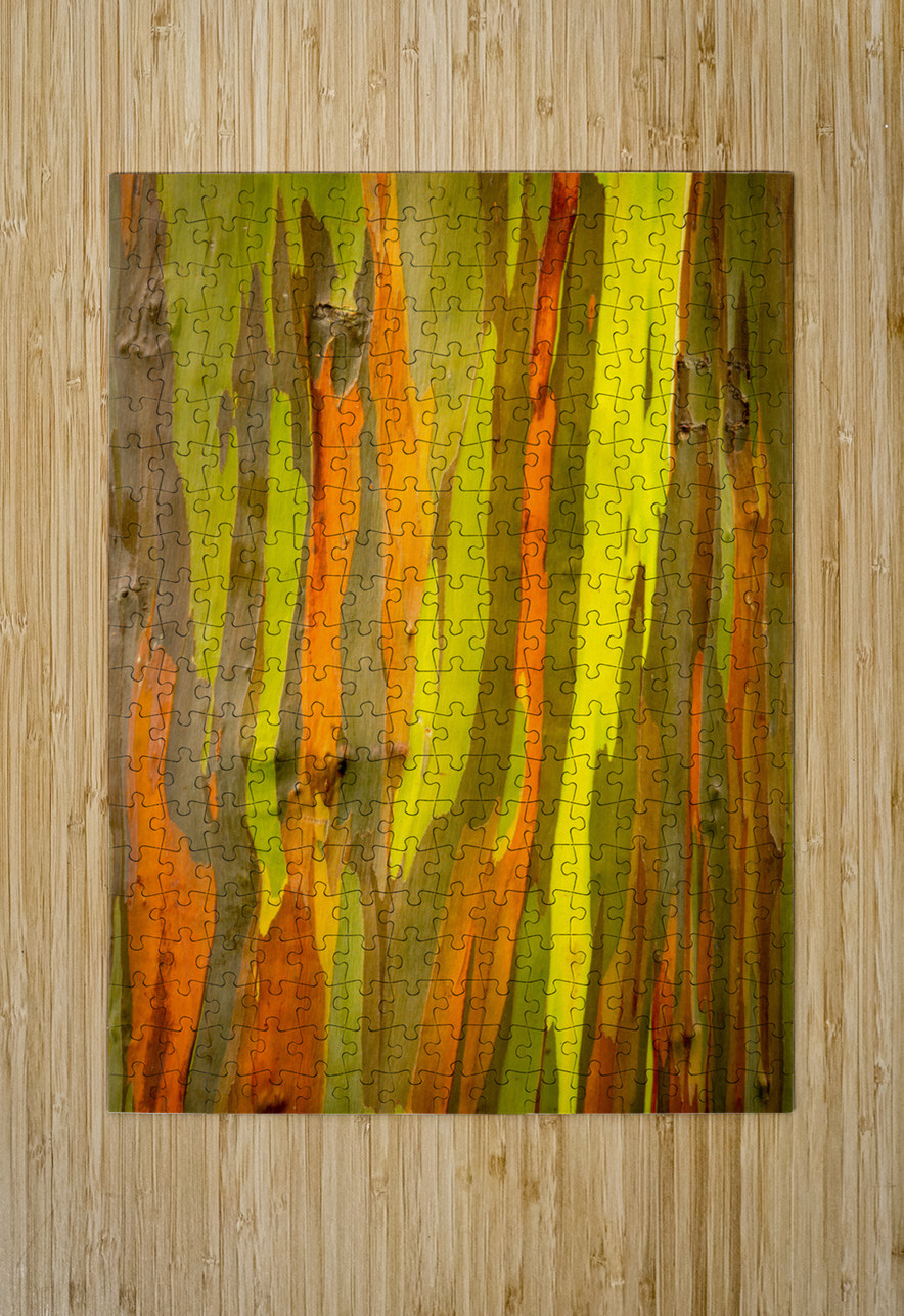 Detail of bark of Rainbow Eucalyptus tree Steve Heap Puzzle printing