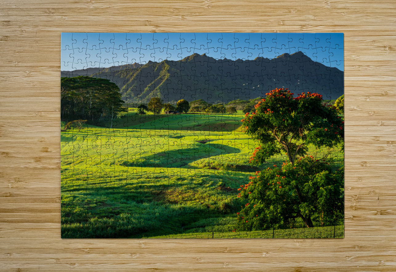 Early morning light on garden island of Kauai  HD Metal print with Floating Frame on Back