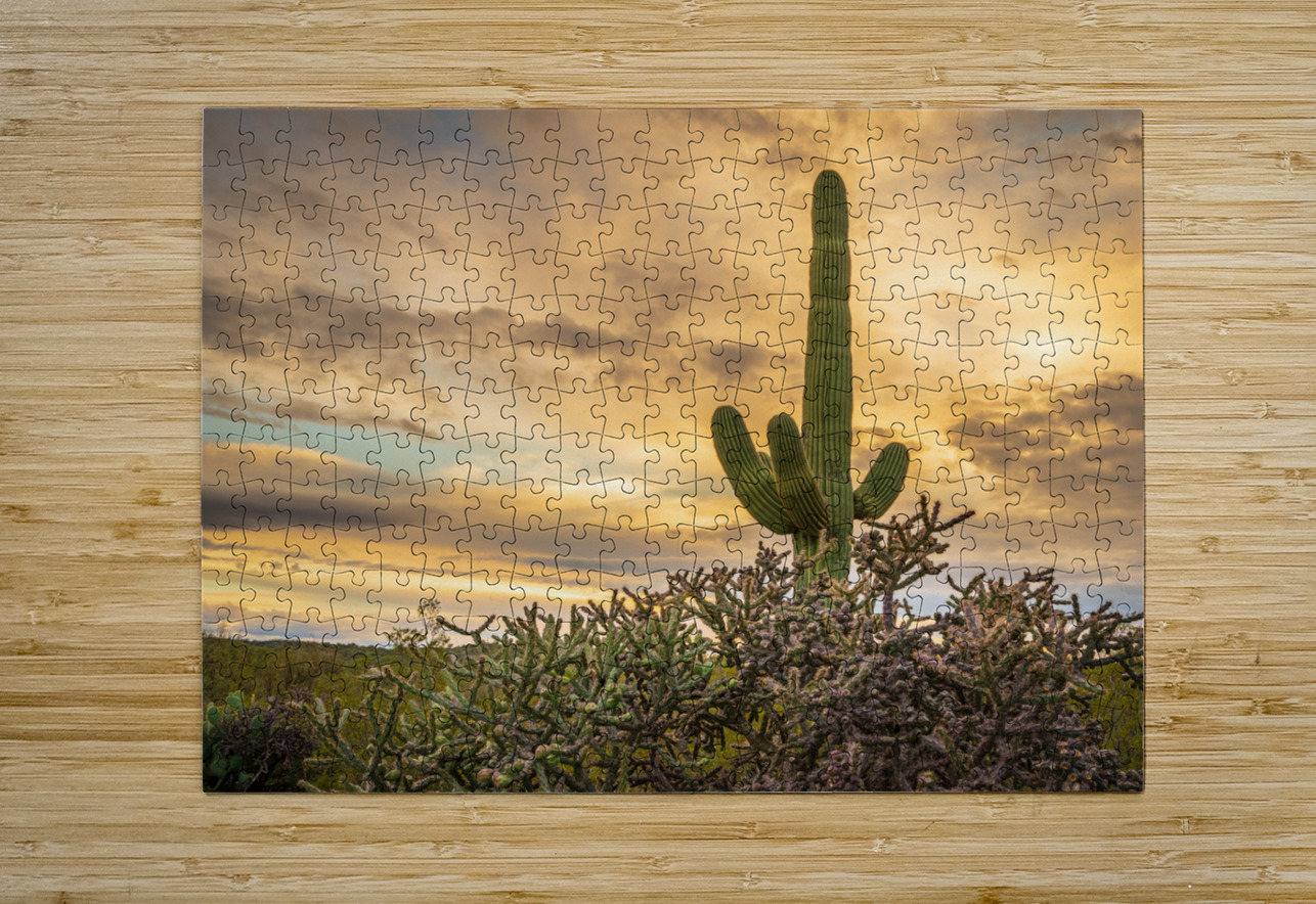Sunset in Saguaro National Park Tucson  HD Metal print with Floating Frame on Back
