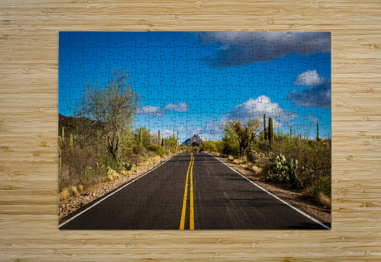 Road and cactus in Saguaro National Park  HD Metal print with Floating Frame on Back