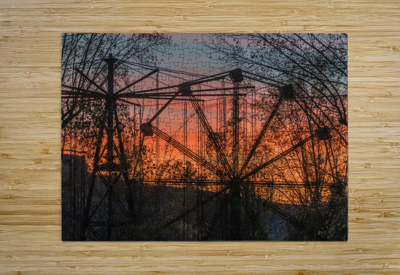 Ferris Wheel ride at abandoned funfair  Steve Heap Puzzle printing