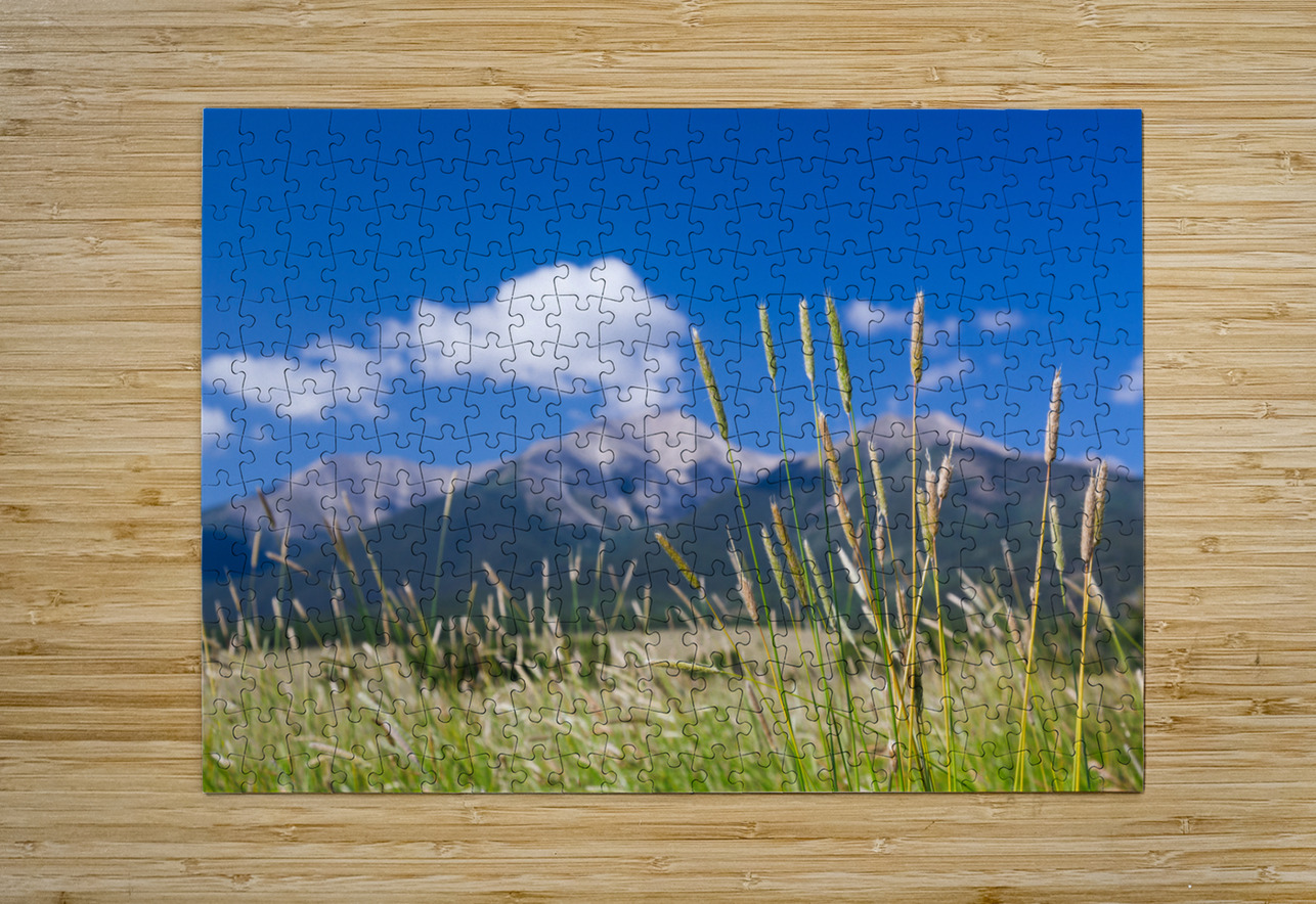 Farmyard and grasses by Mt Princeton CO  HD Metal print with Floating Frame on Back