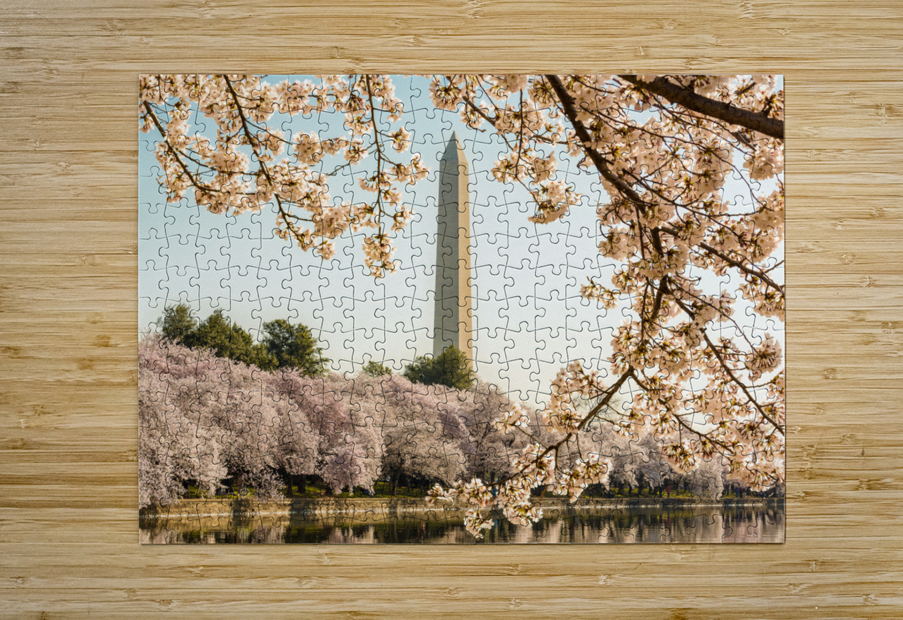 Washington Monument towers above blossoms Steve Heap Puzzle printing