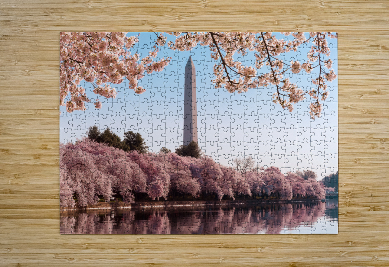 Washington Monument towers above blossoms Steve Heap Puzzle printing