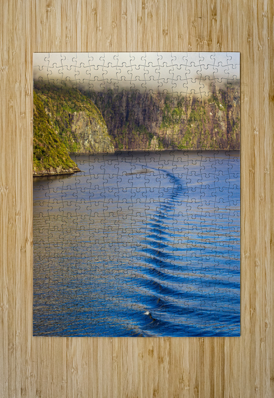 Fjord of Milford Sound in New Zealand Steve Heap Puzzle printing