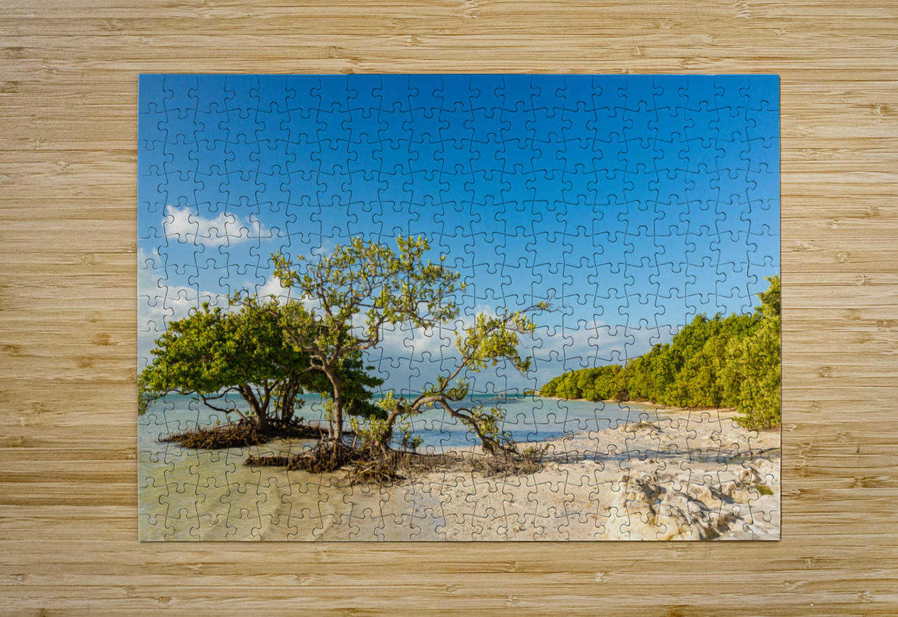 Florida Keys Annes Beach  HD Metal print with Floating Frame on Back