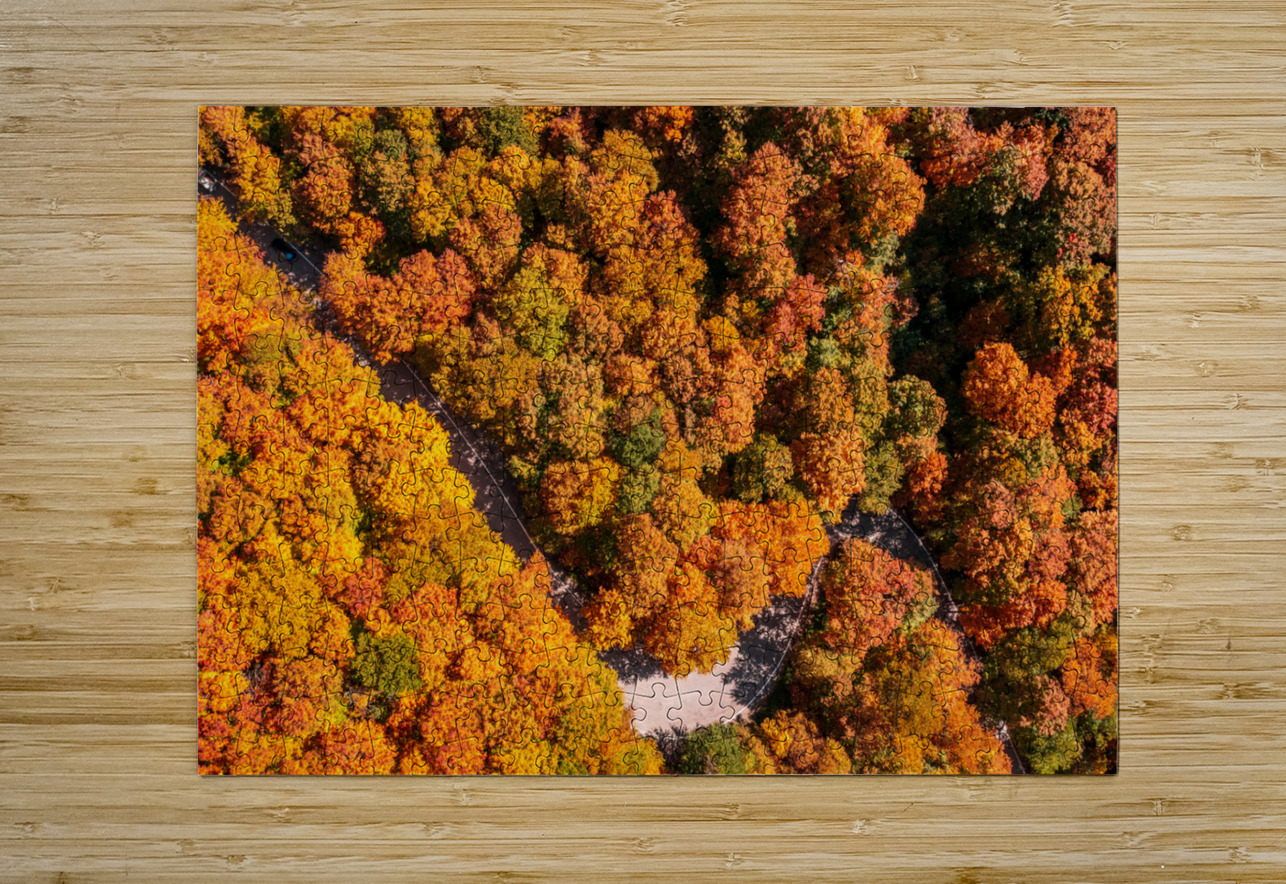 Aerial view of hairpin bend in Smugglers Notch Steve Heap Puzzle printing