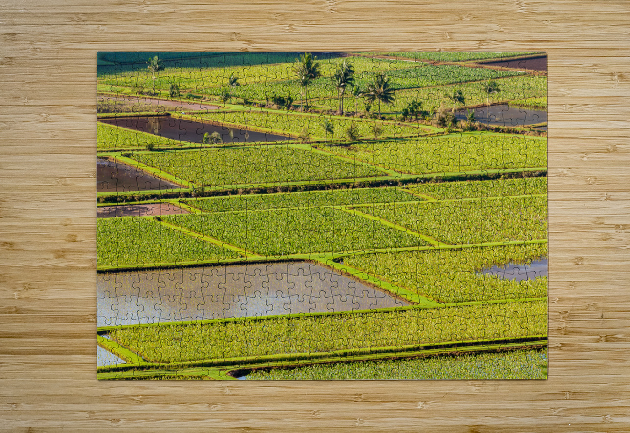 Hanalei Valley in Kauai Steve Heap Puzzle printing