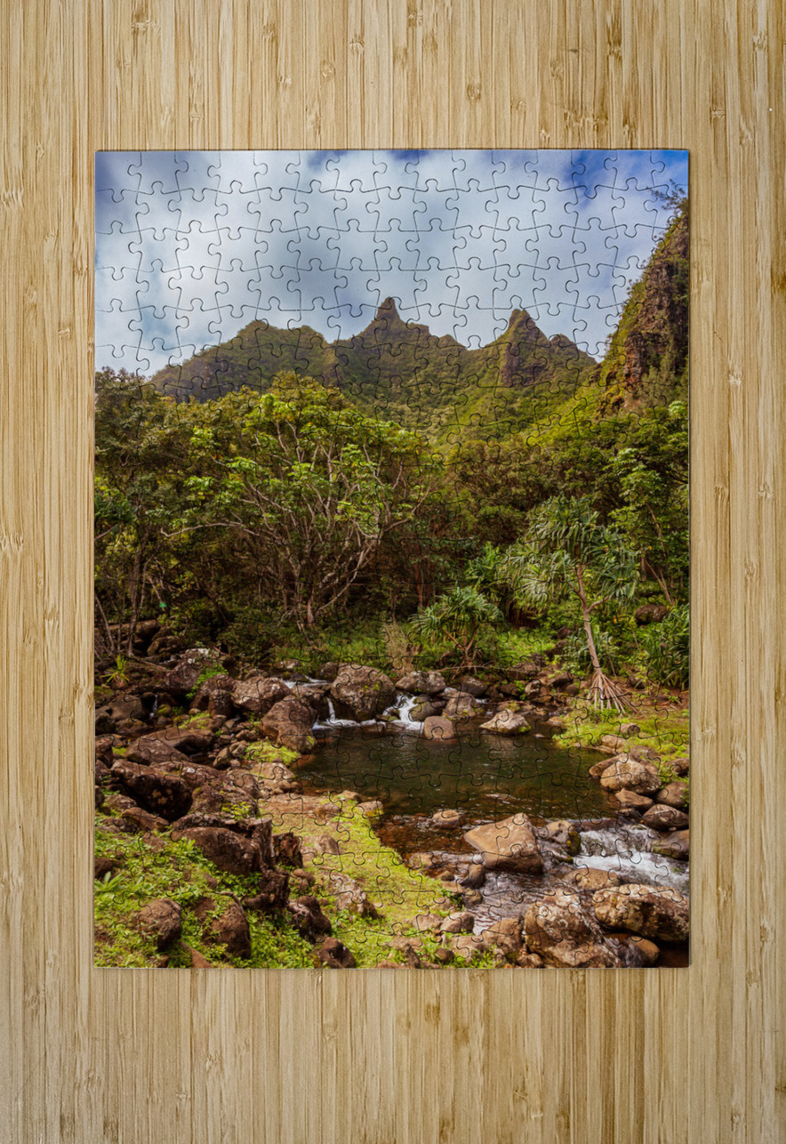 Jagged peaks above Lumahuli gardens Steve Heap Puzzle printing