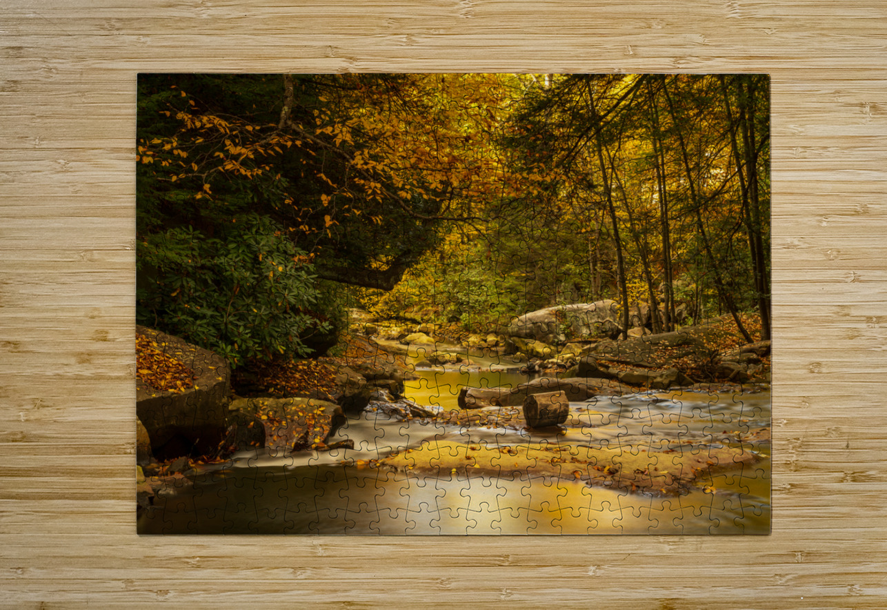 View down Deckers Creek near Masontown Steve Heap Puzzle printing