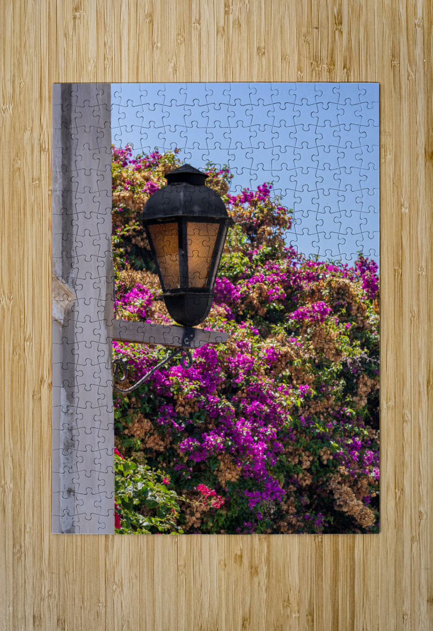 Street lamp in Unesco historical town of Colonia del Sacramento Steve Heap Puzzle printing
