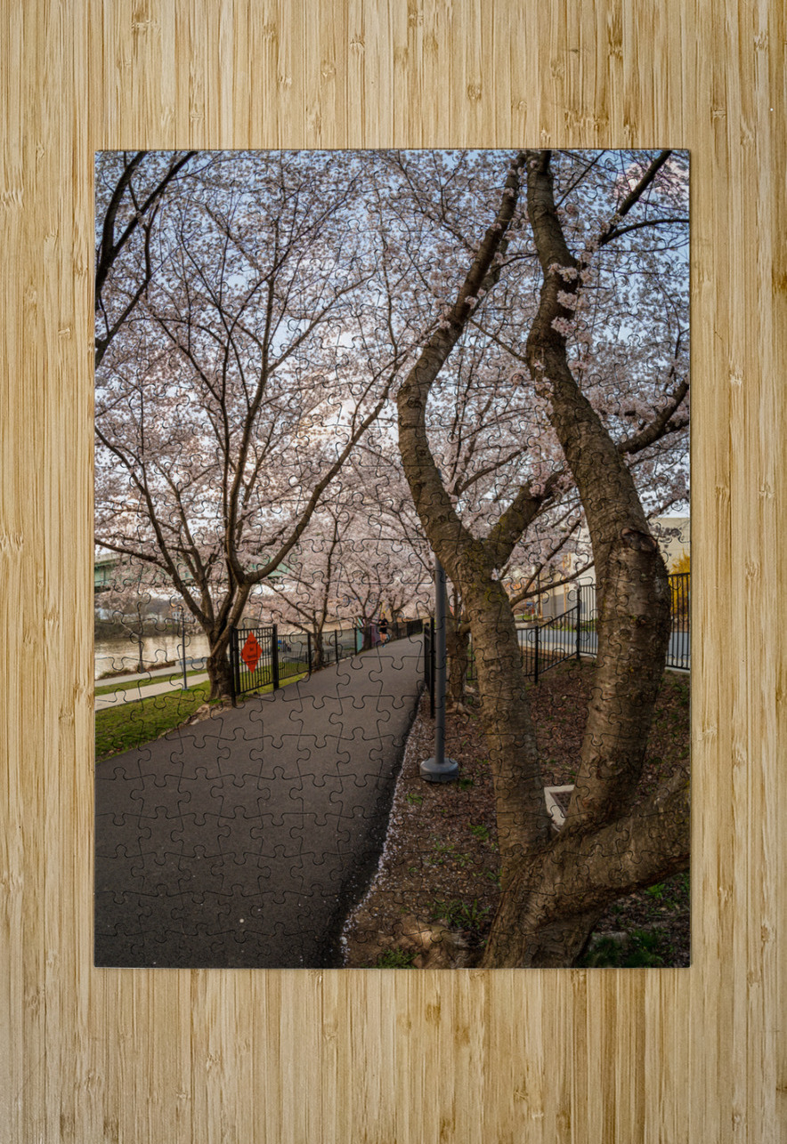 Jogger running on the bike walking trail over Deckers Creek Morg Steve Heap Puzzle printing