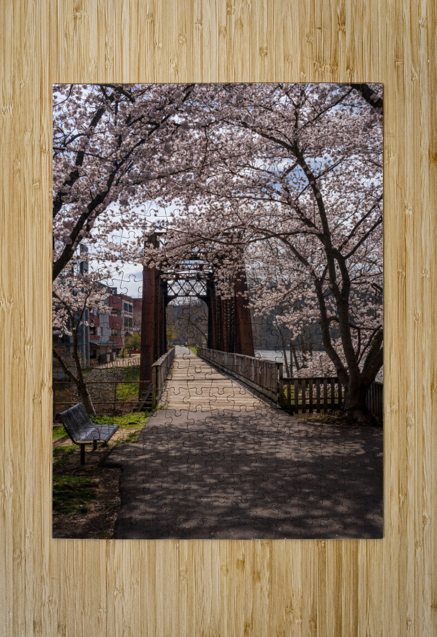 Steel girder bridge carries the bike walking trail over Deckers  Steve Heap Puzzle printing