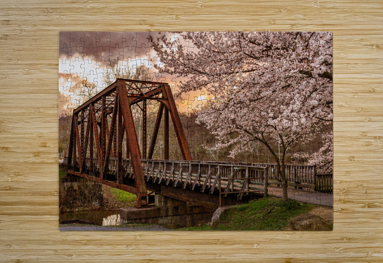 Steel girder bridge carries the bike walking trail over Deckers  Steve Heap Puzzle printing