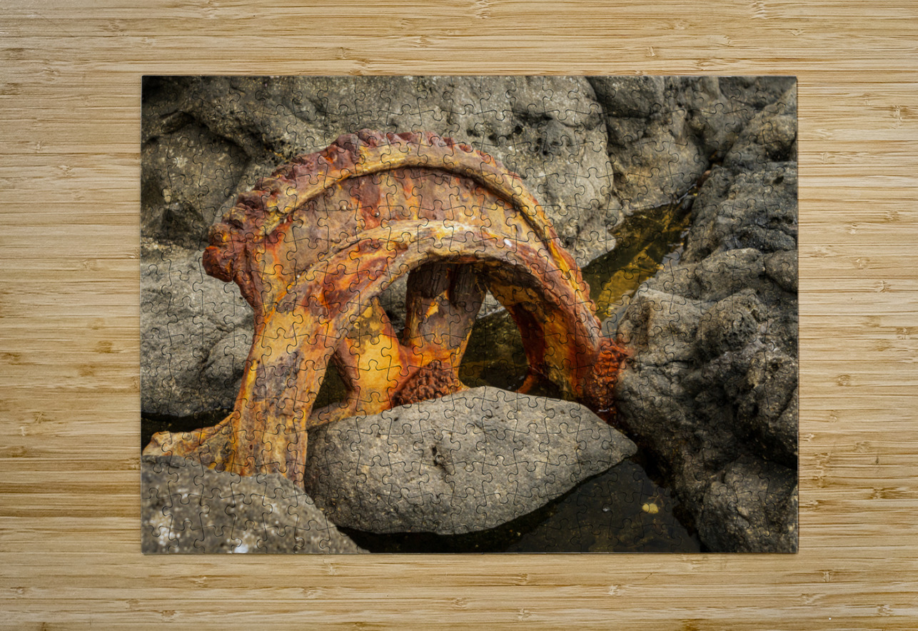 Sugar industry equipment abandoned on Mokolea Point Steve Heap Puzzle printing