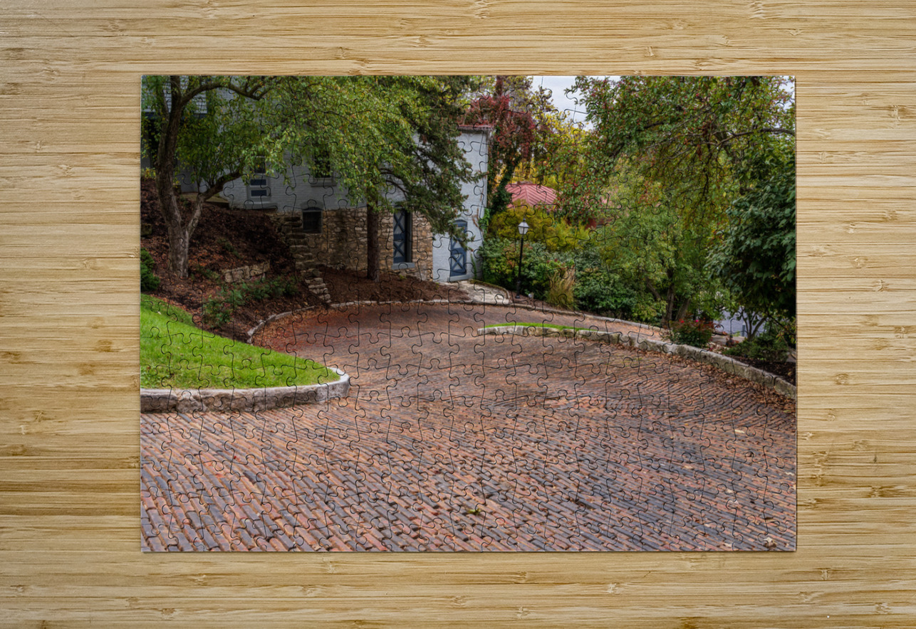 Pattern of bricks on Snake Alley in Burlington Iowa Steve Heap Puzzle printing