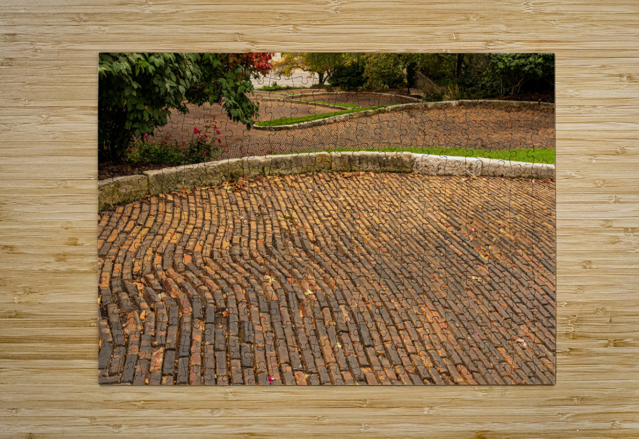 Pattern of bricks on Snake Alley in Burlington Iowa Steve Heap Puzzle printing