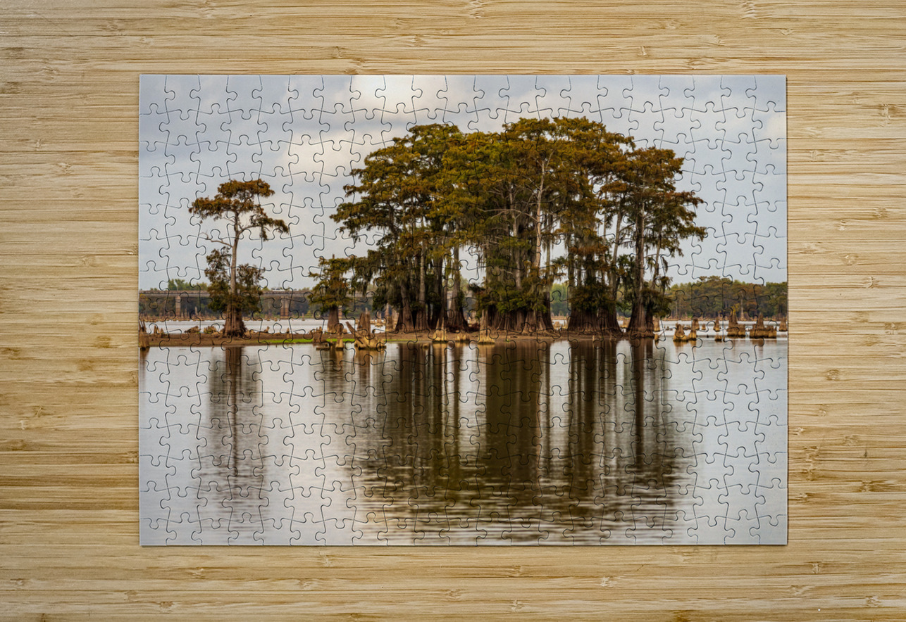 Stand of bald cypress trees rise out of water in Atchafalaya bas Steve Heap Puzzle printing