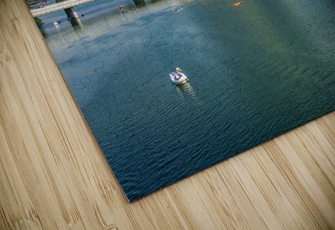 Office Towers View - Austin cityscape across Lady Bird Lake Steve Heap Puzzle