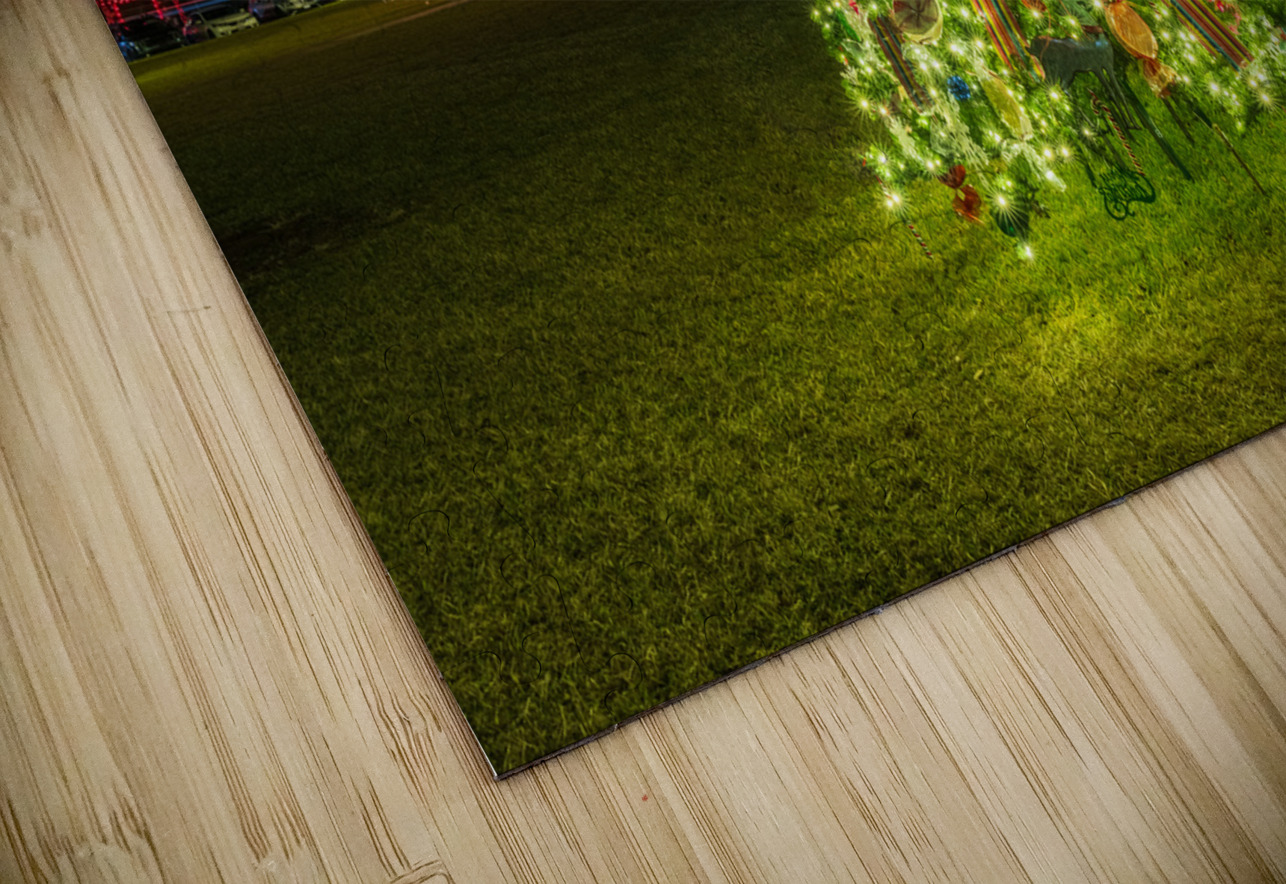 Christmas tree lights spectacular by courthouse in Johnson City Steve Heap Puzzle