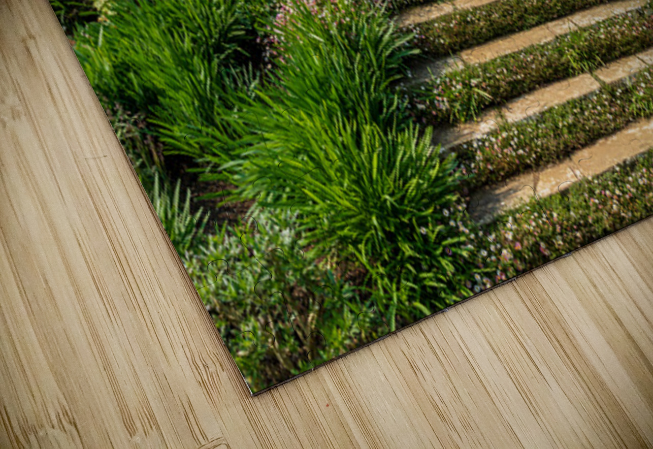 Stone steps into a hedged flower garden on the Isle of Wight Steve Heap Puzzle