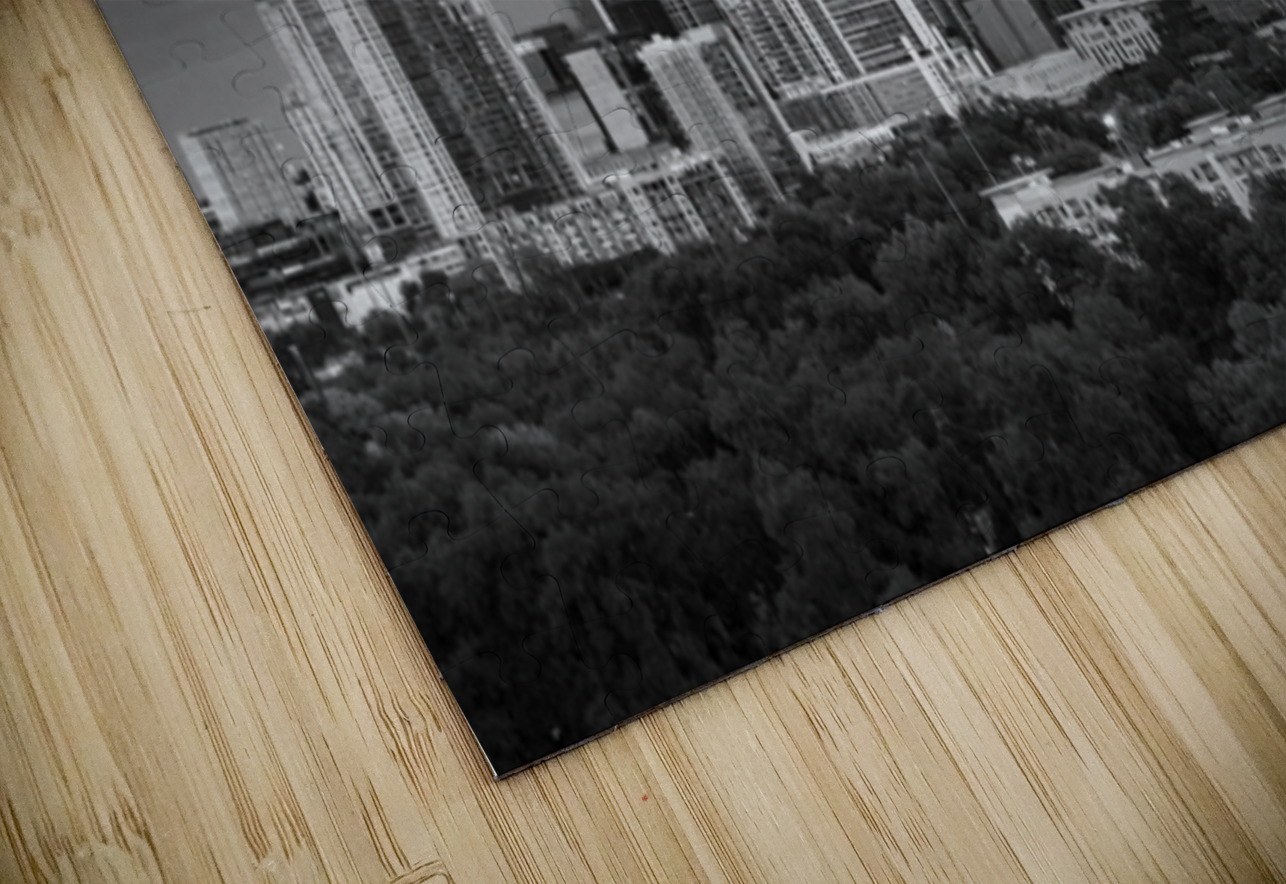 Monochrome view of harvest moon in the Austin skyline Steve Heap Puzzle