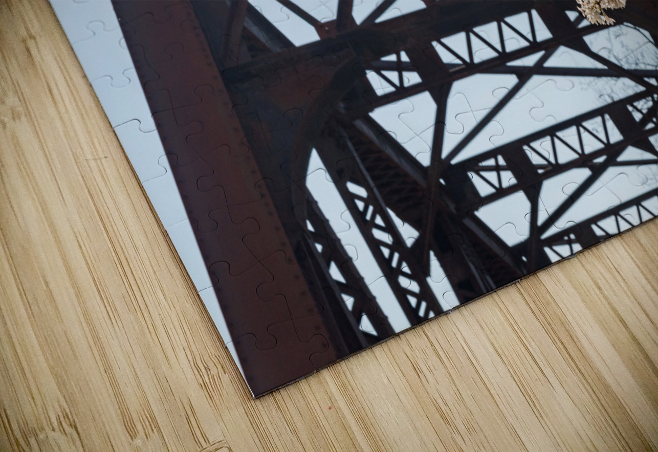 Spring blossoms by Steel girder bridge Morgantown Steve Heap Puzzle