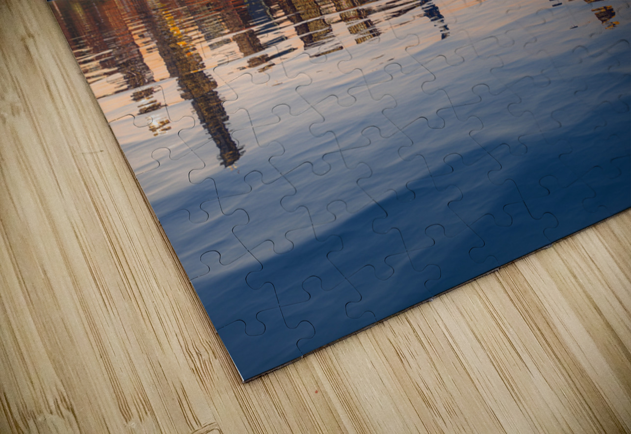 Chicago Skyline at sunset from the Observatory Steve Heap Puzzle