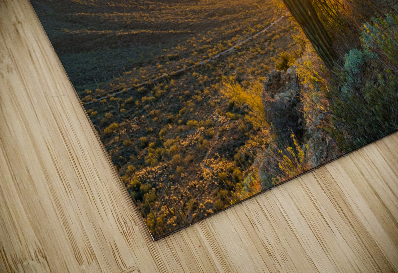 Sunset in Saguaro National Park West HD Sublimation Metal print