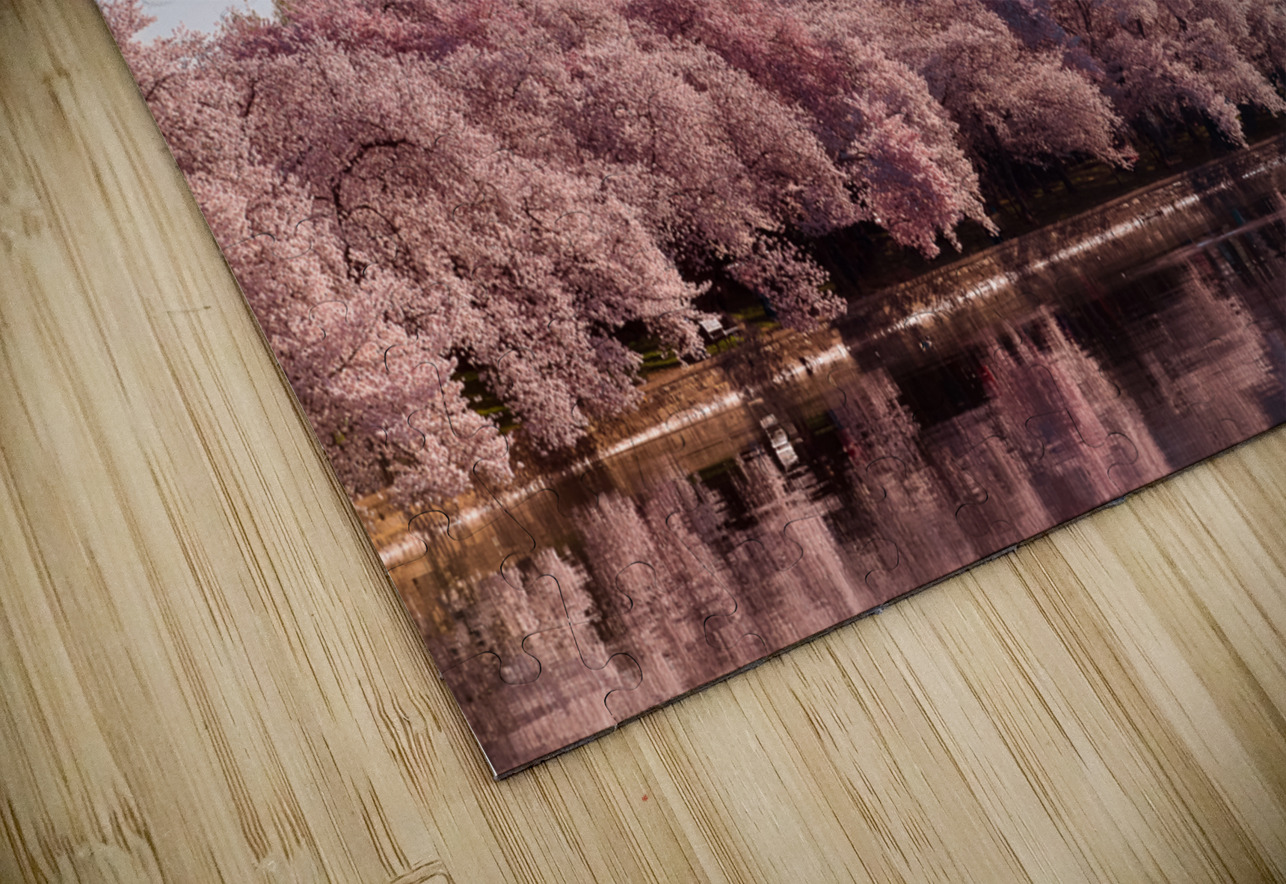 Washington Monument towers above blossoms Steve Heap Puzzle