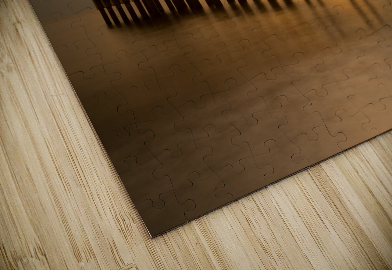 Long exposure Waimea Pier Kauai Steve Heap Puzzle