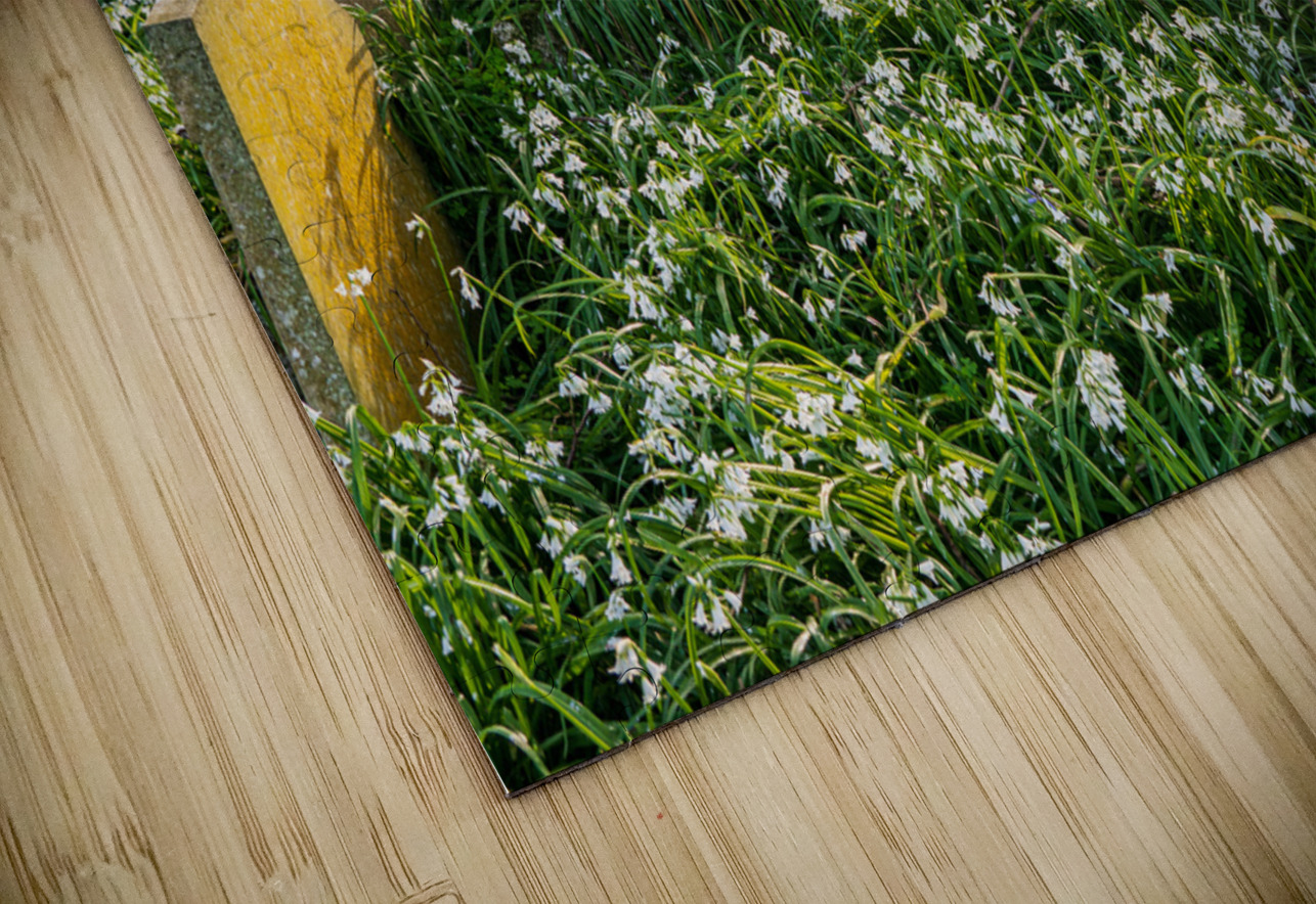 St Just in Roseland parish church in Cornwall UK Steve Heap Puzzle