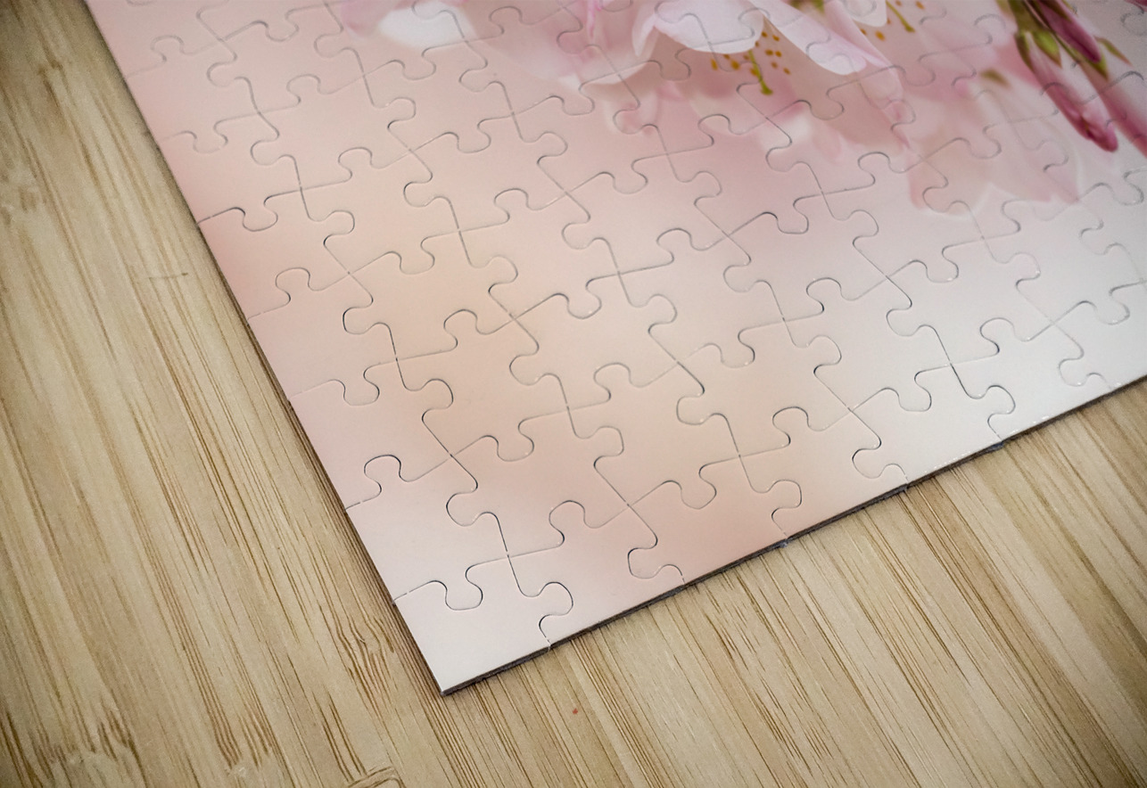 Detail macro photo of japanese cherry blossom flowers Steve Heap Puzzle