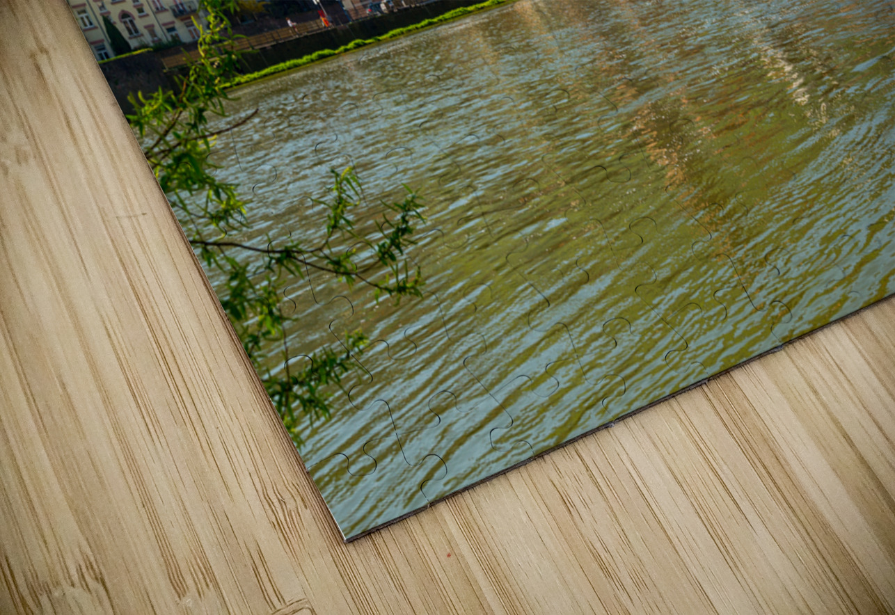 Old bridge into town of Heidelberg Germany Steve Heap Puzzle