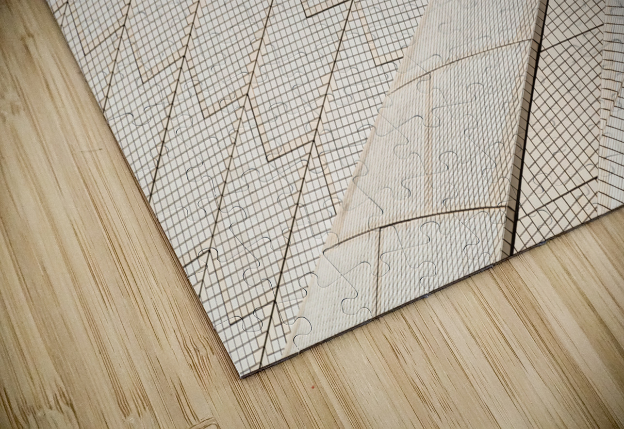 Unusual view of Sydney Opera House Steve Heap Puzzle