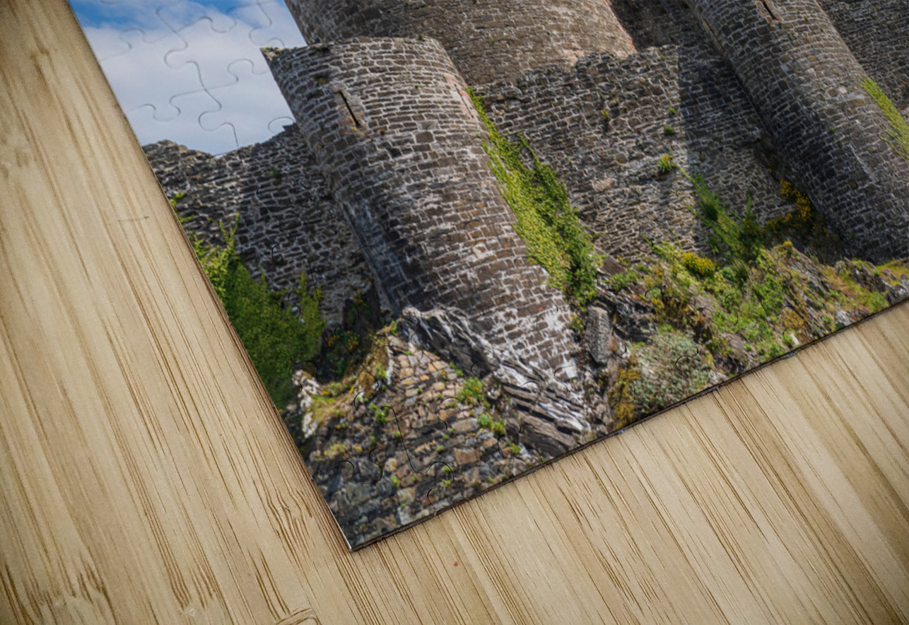 Flag flies over the historic Conwy castle in North Wales Steve Heap Puzzle