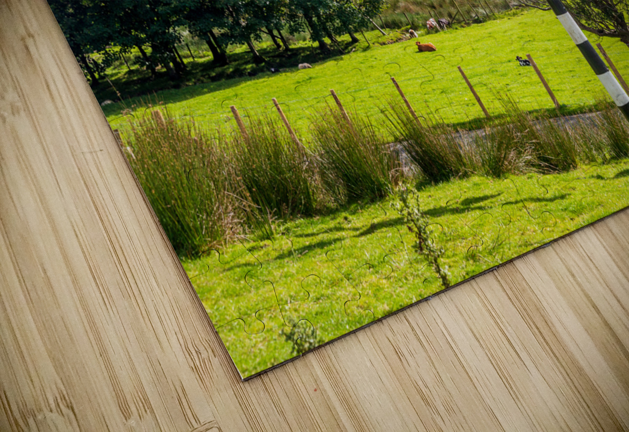 Buttermere road sign in english lake district Steve Heap Puzzle