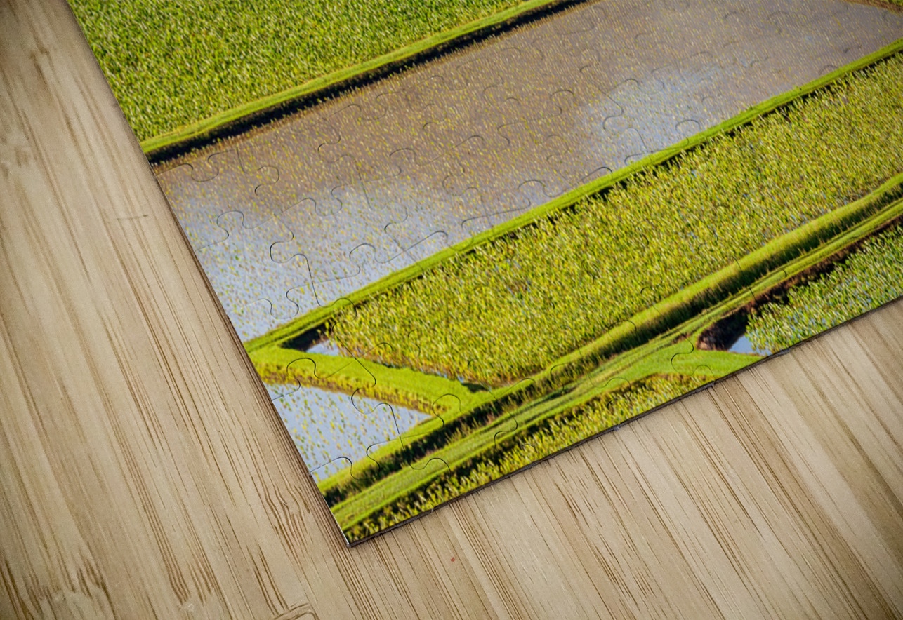 Hanalei Valley in Kauai Steve Heap Puzzle