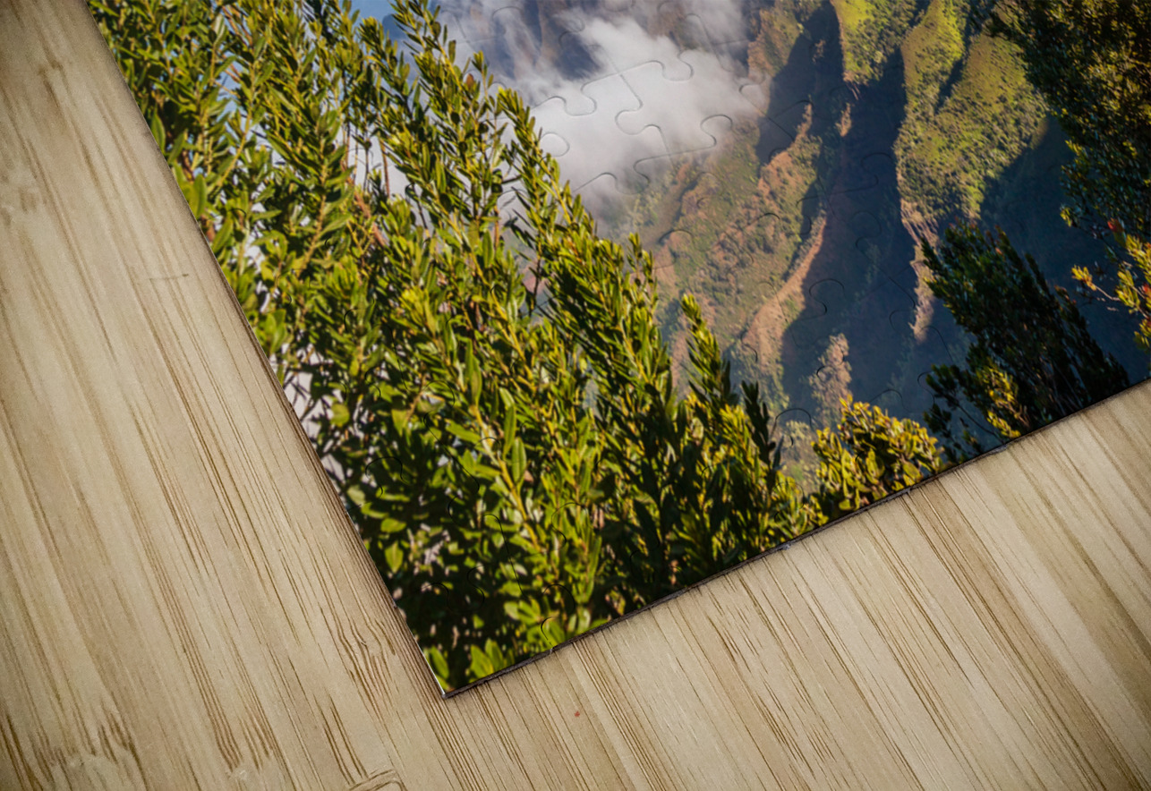Pilea Trail overlooking Kalalau Valley in Kauai Steve Heap Puzzle
