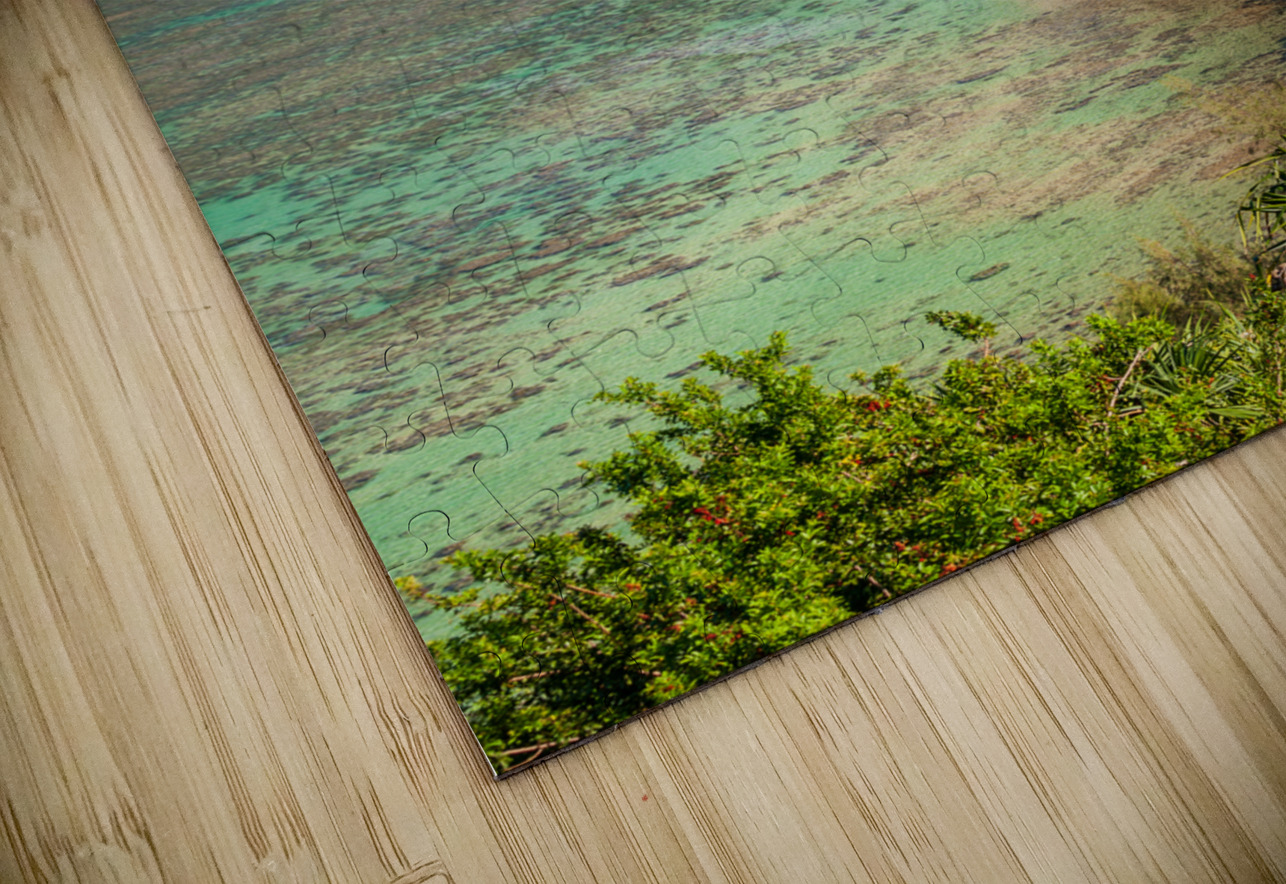 Sealodge and anini beach in Kauai Steve Heap Puzzle