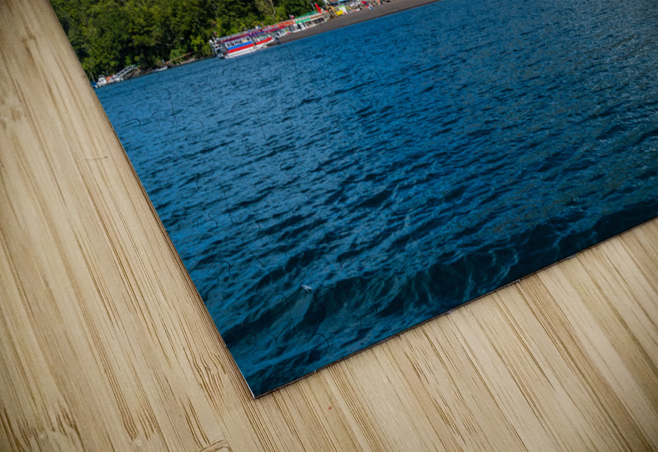 Petrohue harbor and docks by the Osorno volcano in Chile Steve Heap Puzzle