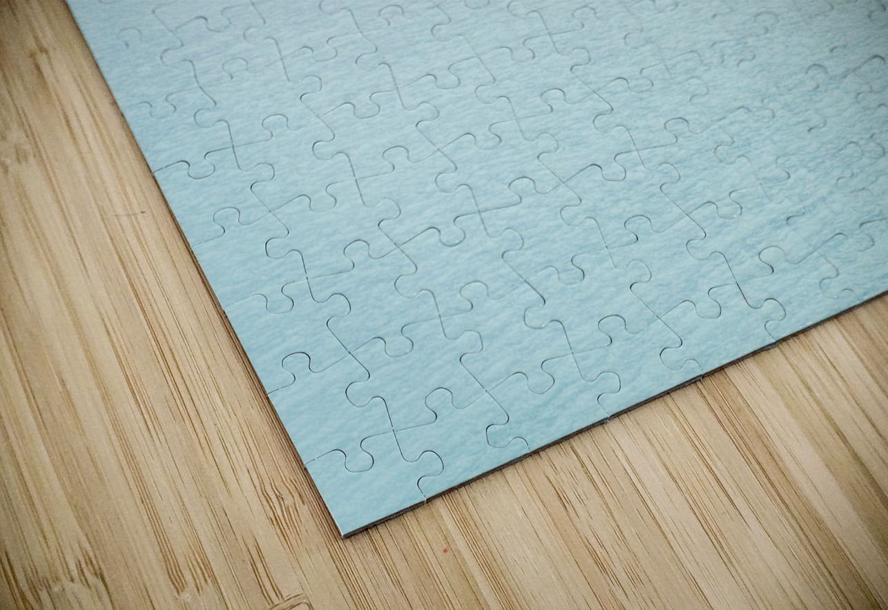 Small boat approaching Amalia Glacier to collect iceberg Steve Heap Puzzle